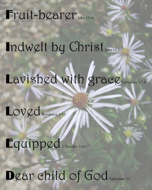 FILLED on Linville Wildflowers background