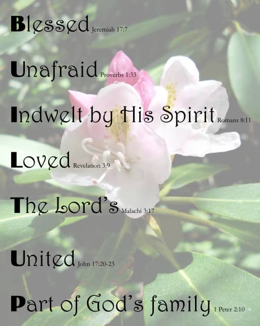 BUILT UP on Rhododendron background