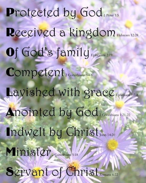 PROCLAIMS on Purple Daisies background