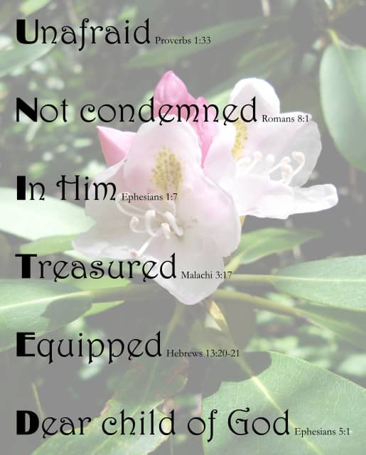 UNITED on Rhododendron background