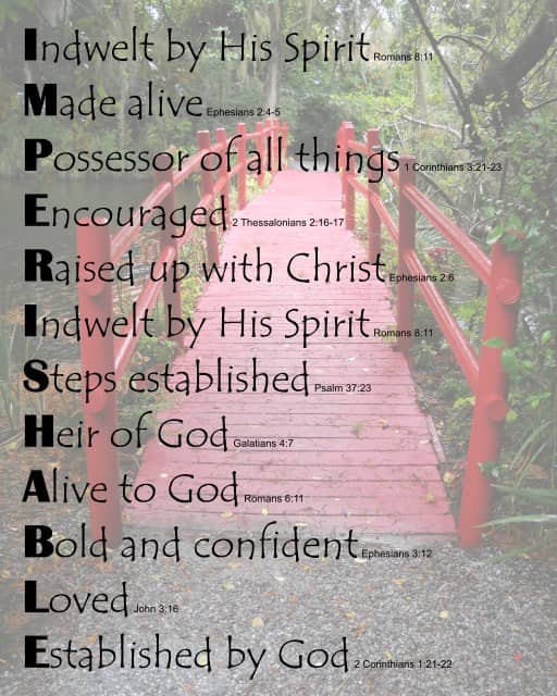 IMPERISHABLE on Red Bridge background