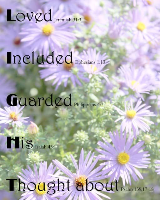 LIGHT on Purple Daisies background