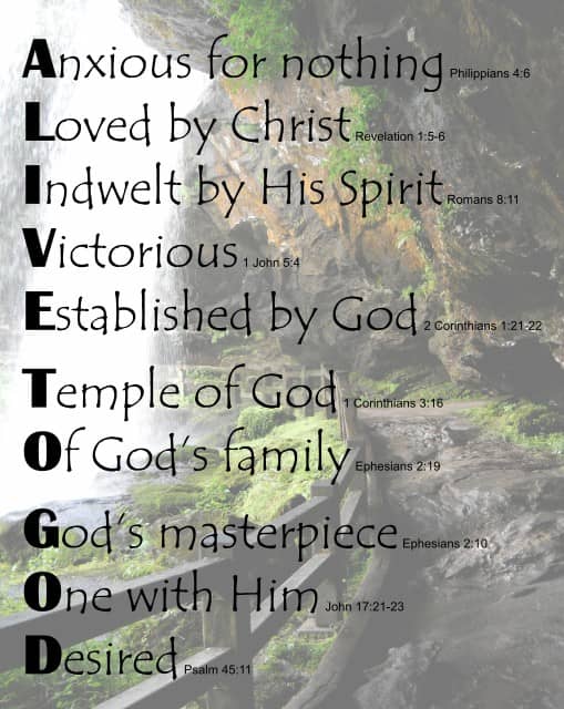 ALIVE TO GOD on Dry Falls background
