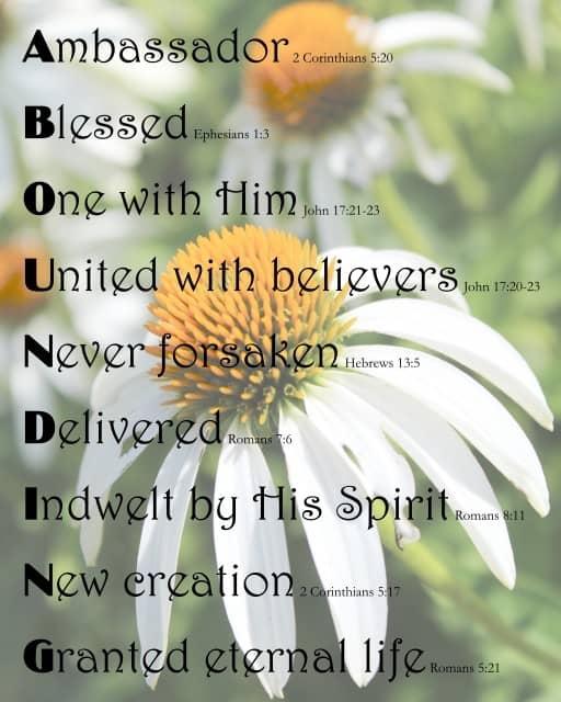 ABOUNDING on Daisies background