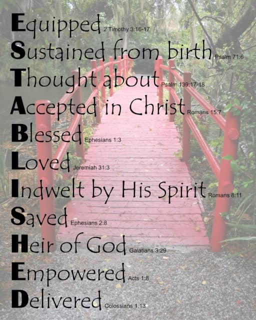 ESTABLISHED on Red Bridge background