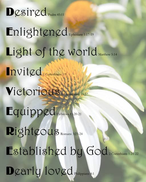 DELIVERED on Daisies background