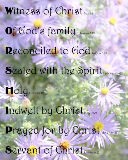 WORSHIPS on Purple Daisies background