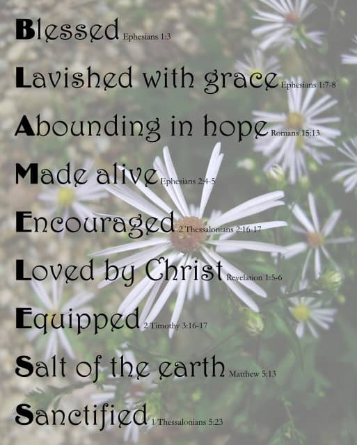BLAMELESS on Linville Wildflowers background