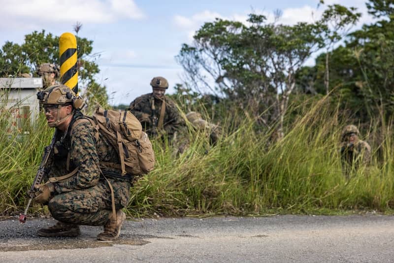 Marines in camouflage gear crouch in tall grass.