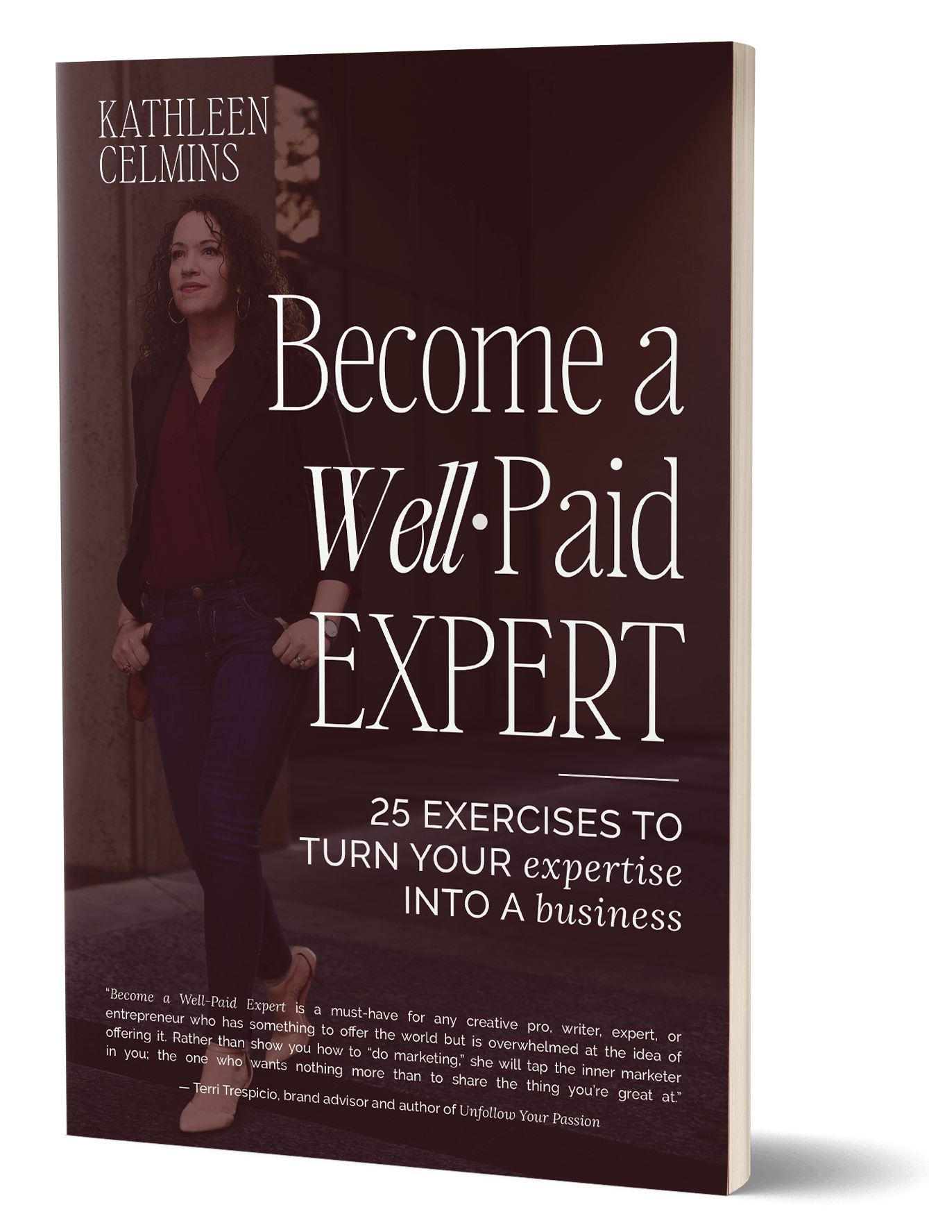 3D rendition of the cover of Become a Well-Paid Expert: 25 Exercises to Turn Your Expertise into a Business