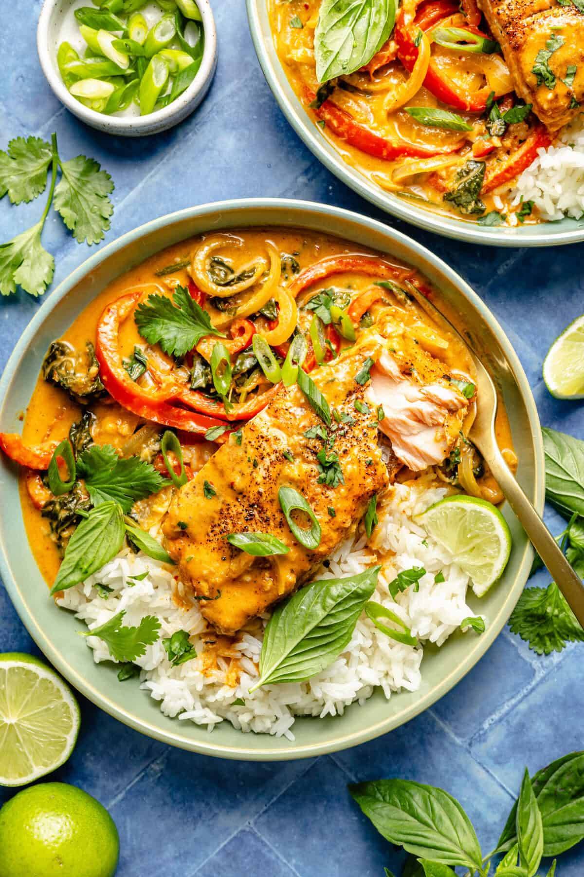 salmon curry in bowl