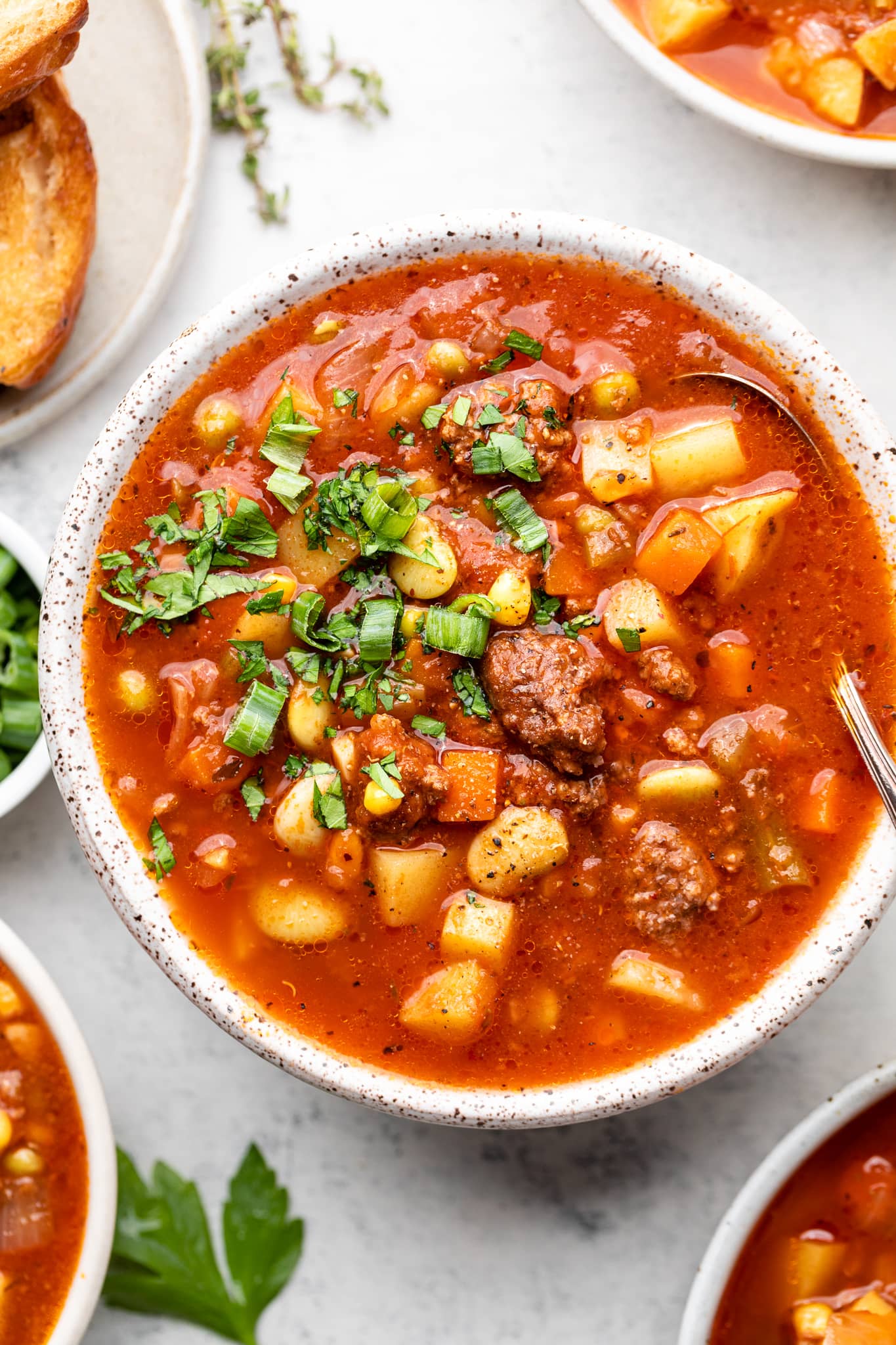 vegetable beef soup in bowl