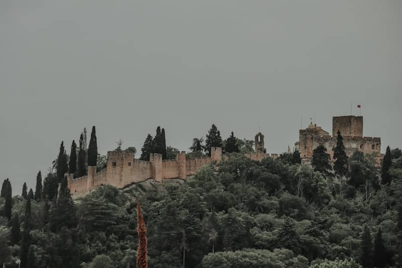 A castle sits atop a densely forested hill.