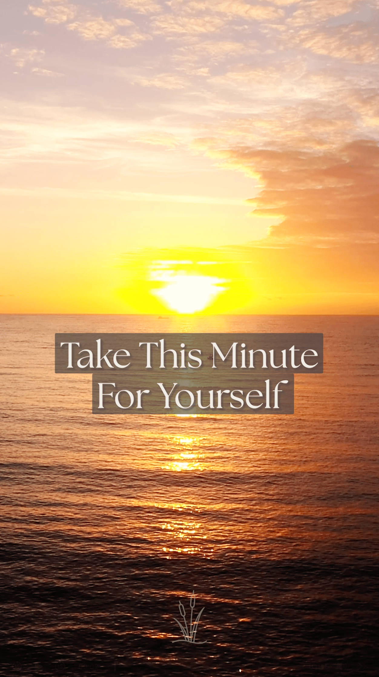 60 second calm reset 002