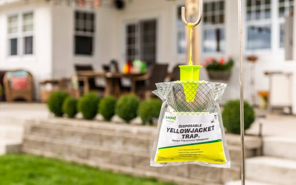 RESCUE! Disposable Yellowjacket Trap near patio deck