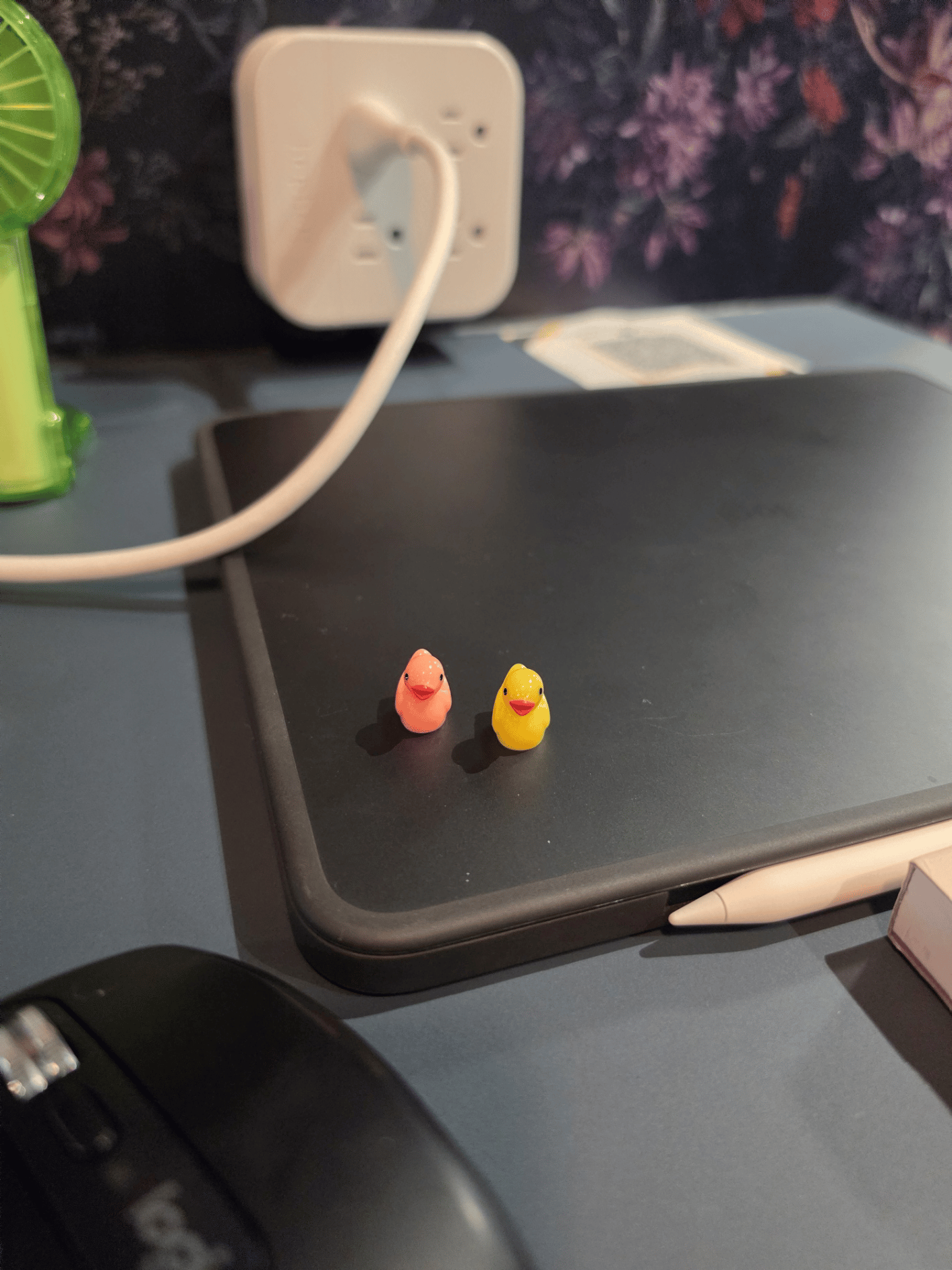 A salmon pink and yellow duck sit side-by-side.