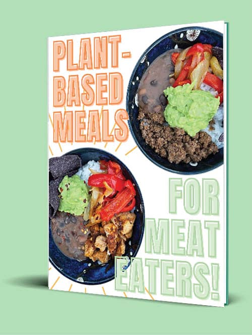 plant-based-meals-for-meat-eaters-the-conscientious-eater