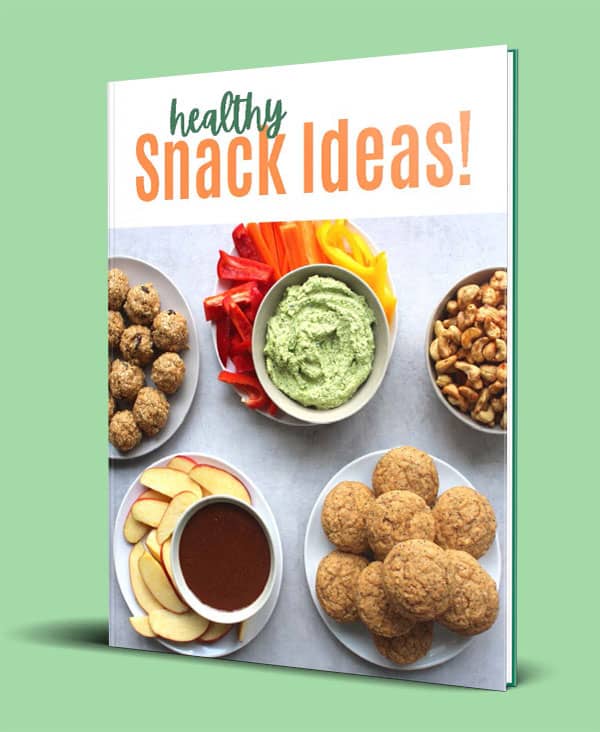 Healthy Snack Recipes from The Conscientious Eater!