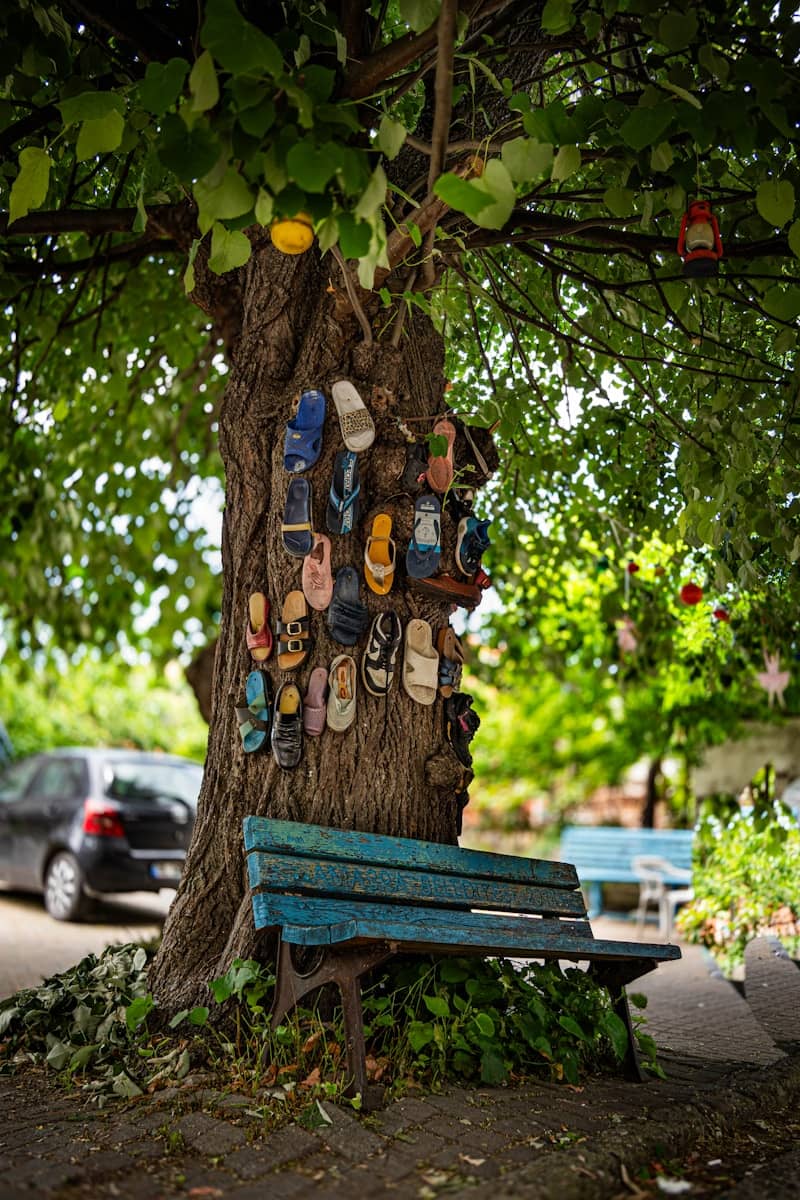 Tree trunk covered in shoes with a weathered blue bench.