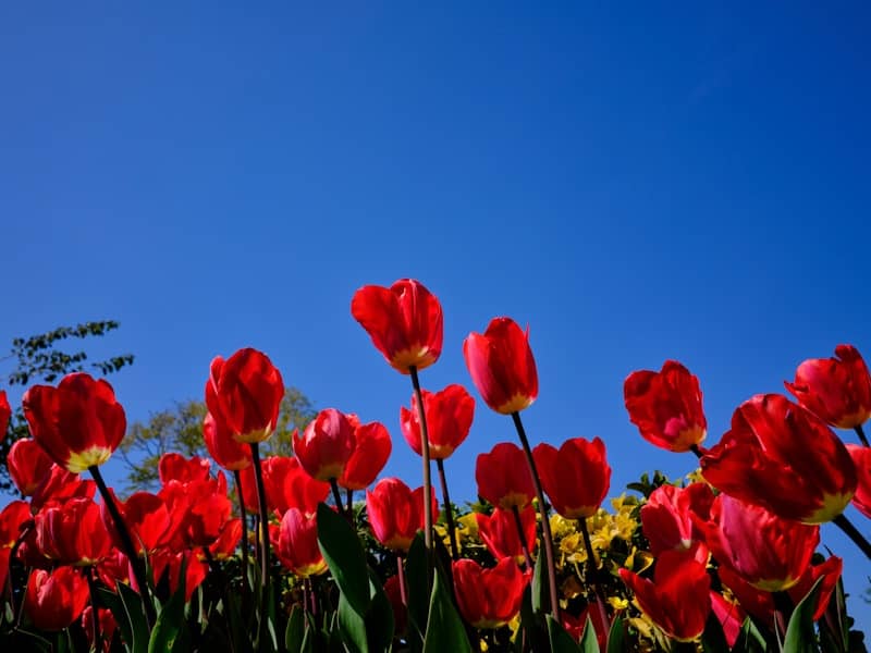 Overwhelmed? Here's How to Find Your Way Back to Peace