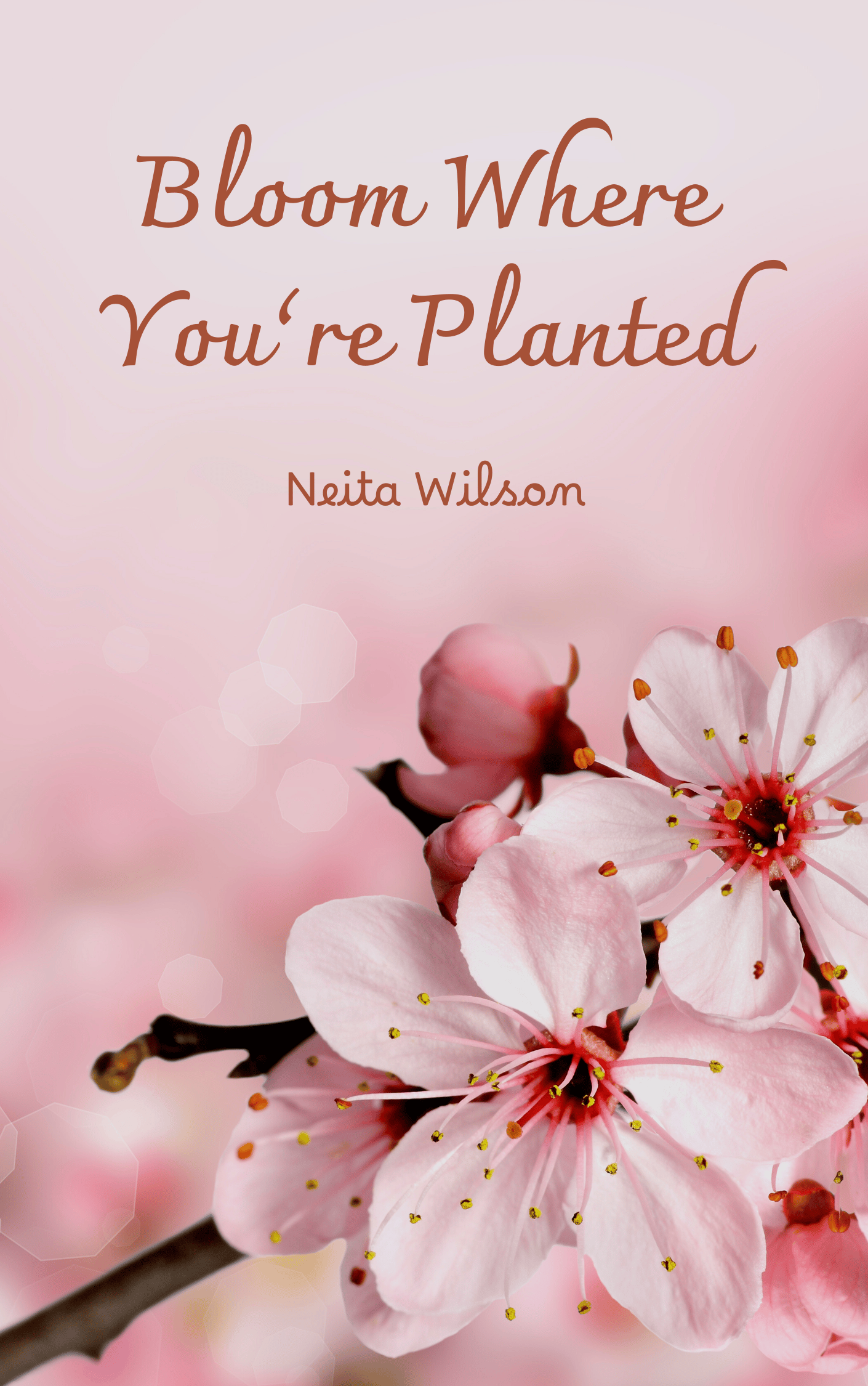 Bloom Where You're Planted!