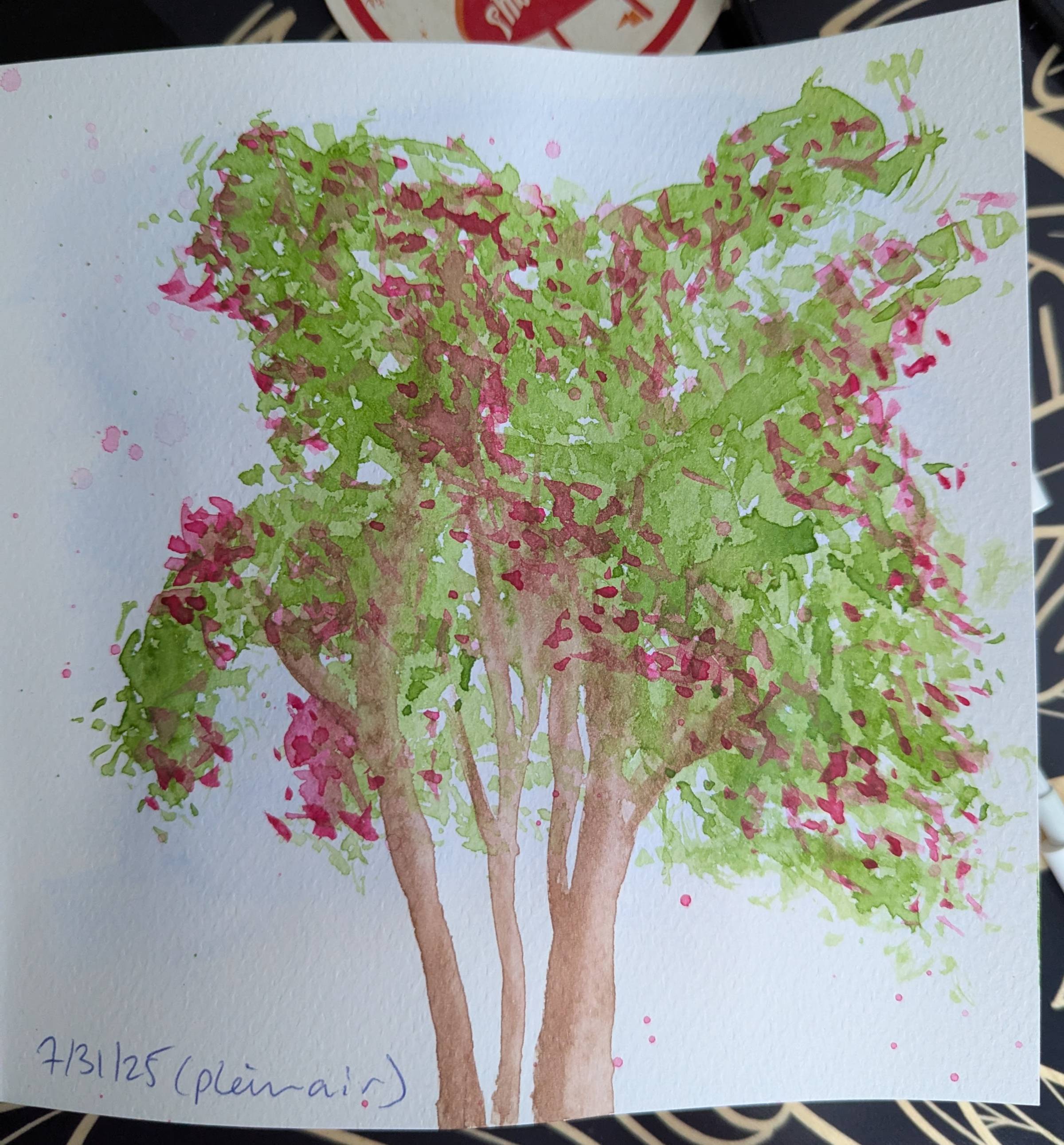 a painting of a crepe myrtle tree based on observation
