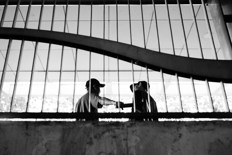 Two people in baseball caps fist bumping behind a metal grate in silhouette