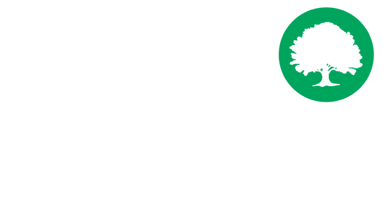 JDT Advisory logo