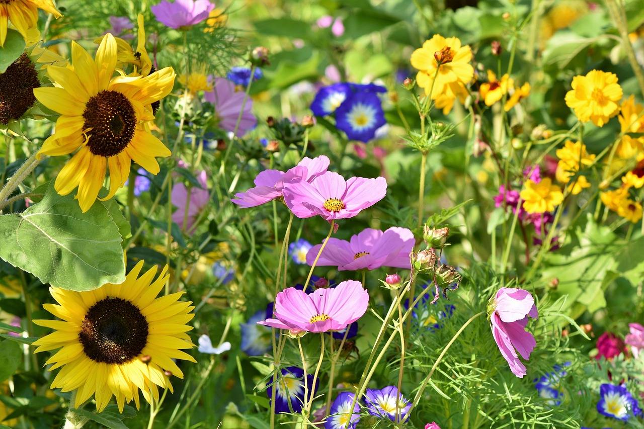 All the flowers