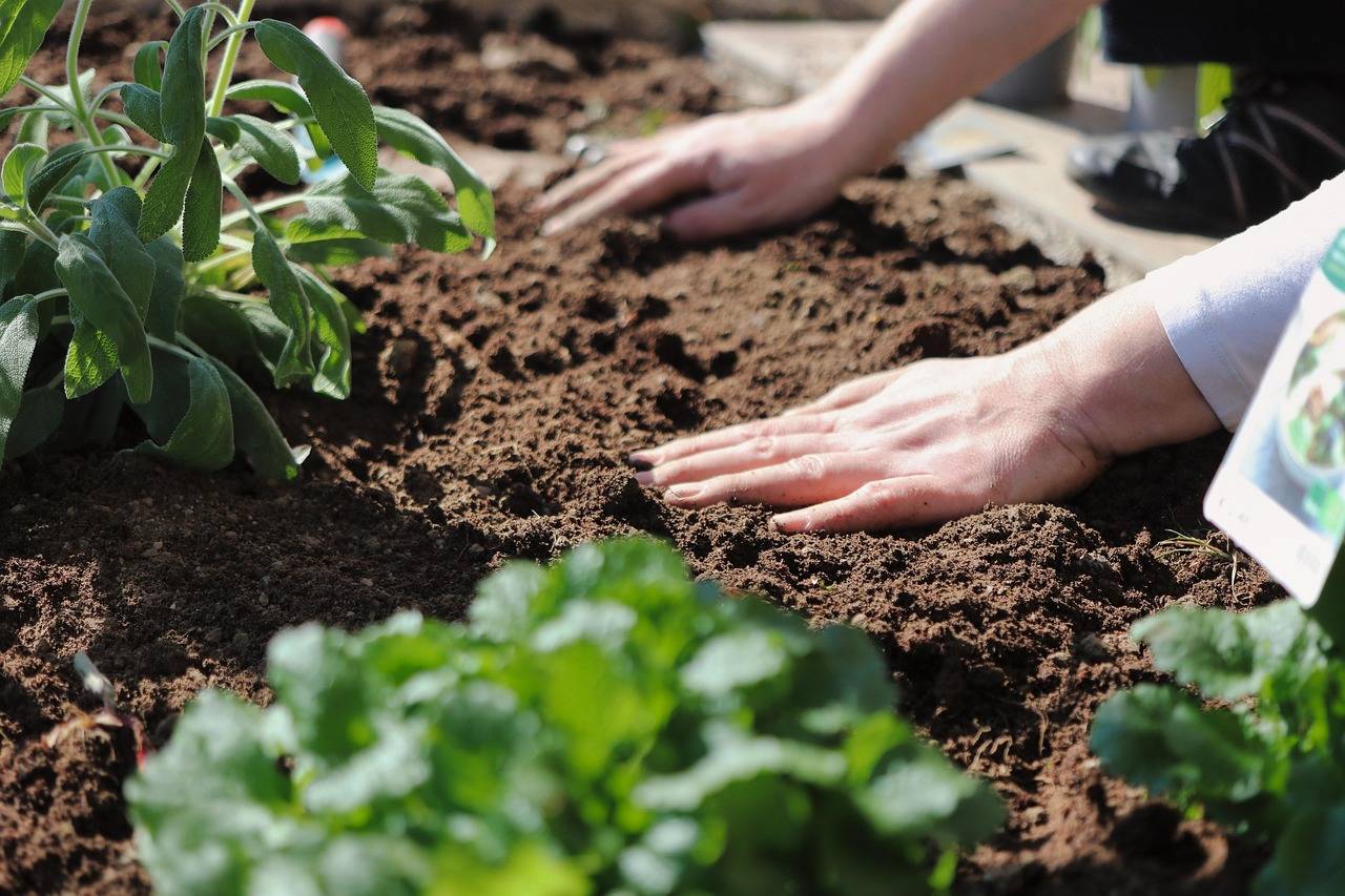 Touching the earth