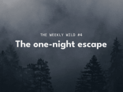 weekly wild #4: The one night escape