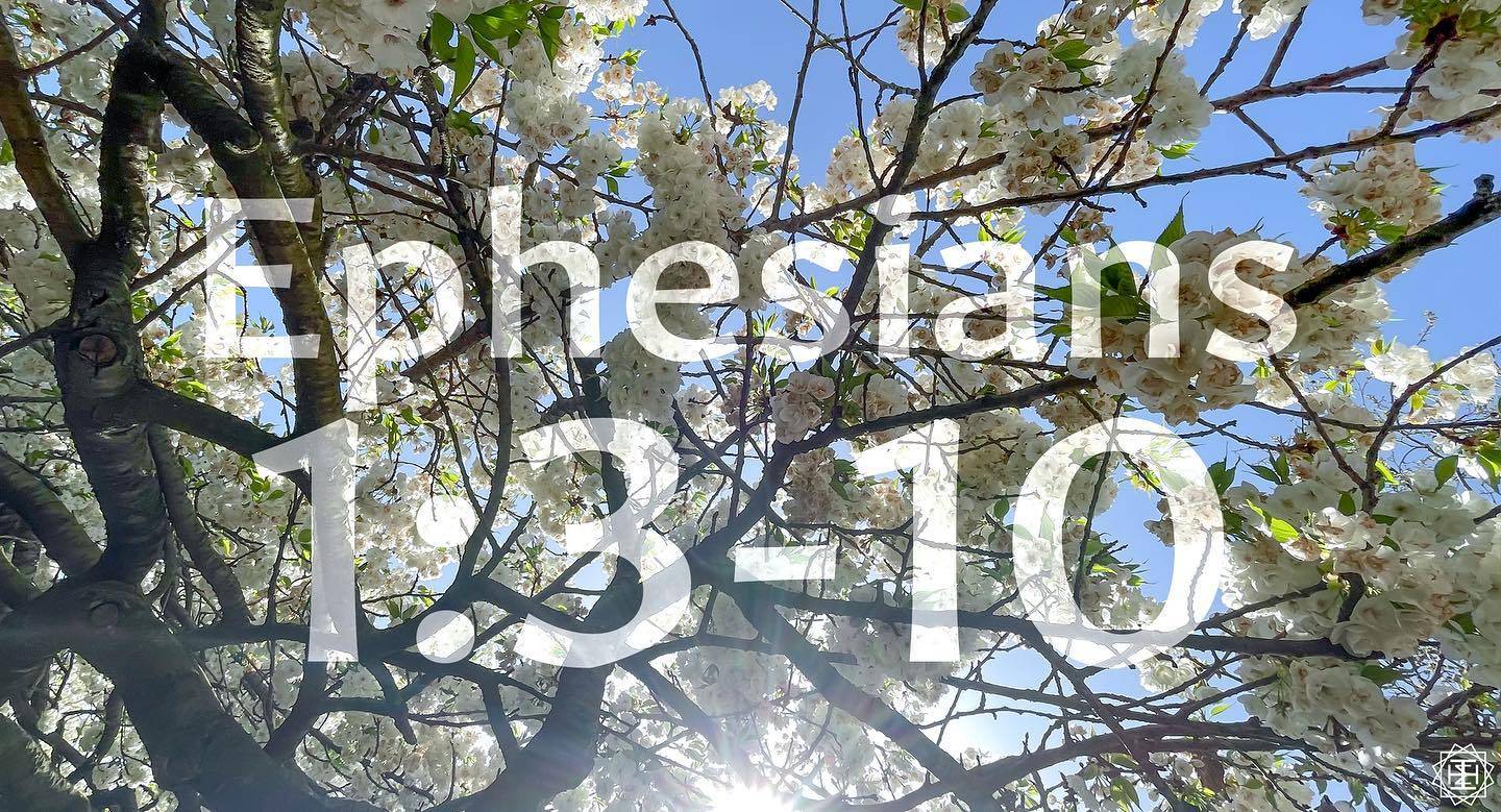 New Translation Reflection on Ephesians 1:3-10 - God the Savior

From before history until the end of time, God is bringing all things together in Christ. This is the hopeful message the Apostle Paul is reminding the Ephesians. That God, who lives and has his being on beyond our experience of time has redeemed us. God has made his mysterious will known to us in the person of Christ.

Enjoy reading the reflection on our site. 

» This is the first Canticle that I've shared. A Canticle is a song of praise or hymn with it's lyrics taken from the bible or other holy text excluding the Psalms. The divine office has one old testament canticle with the psalms in morning prayer, and one new testament canticle with evening prayer.