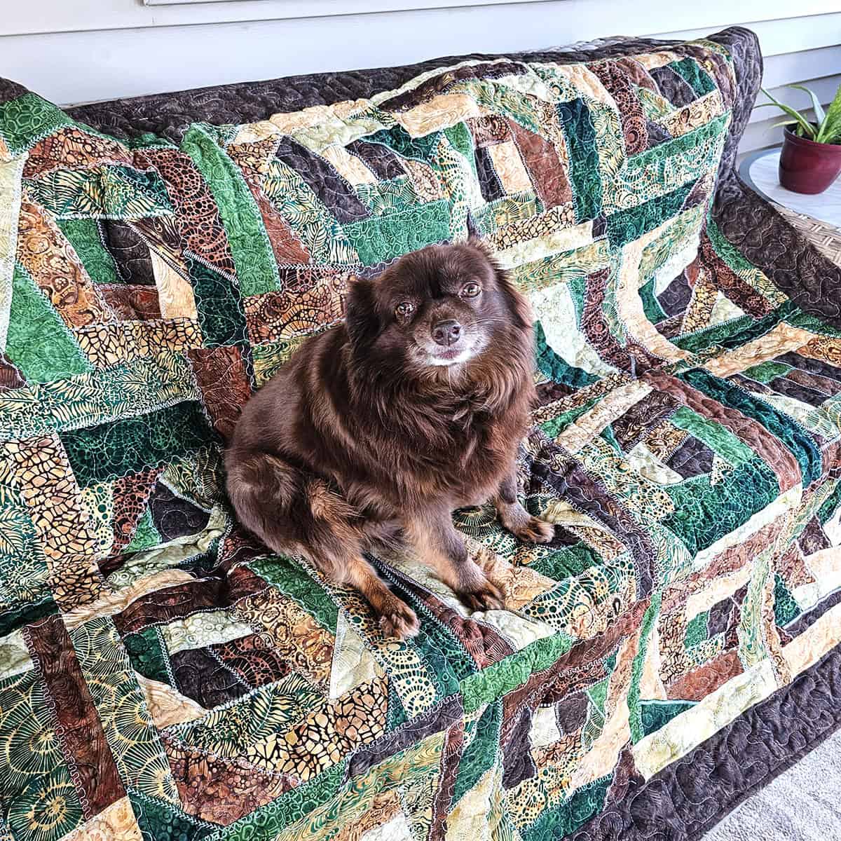 Crazy Quilt