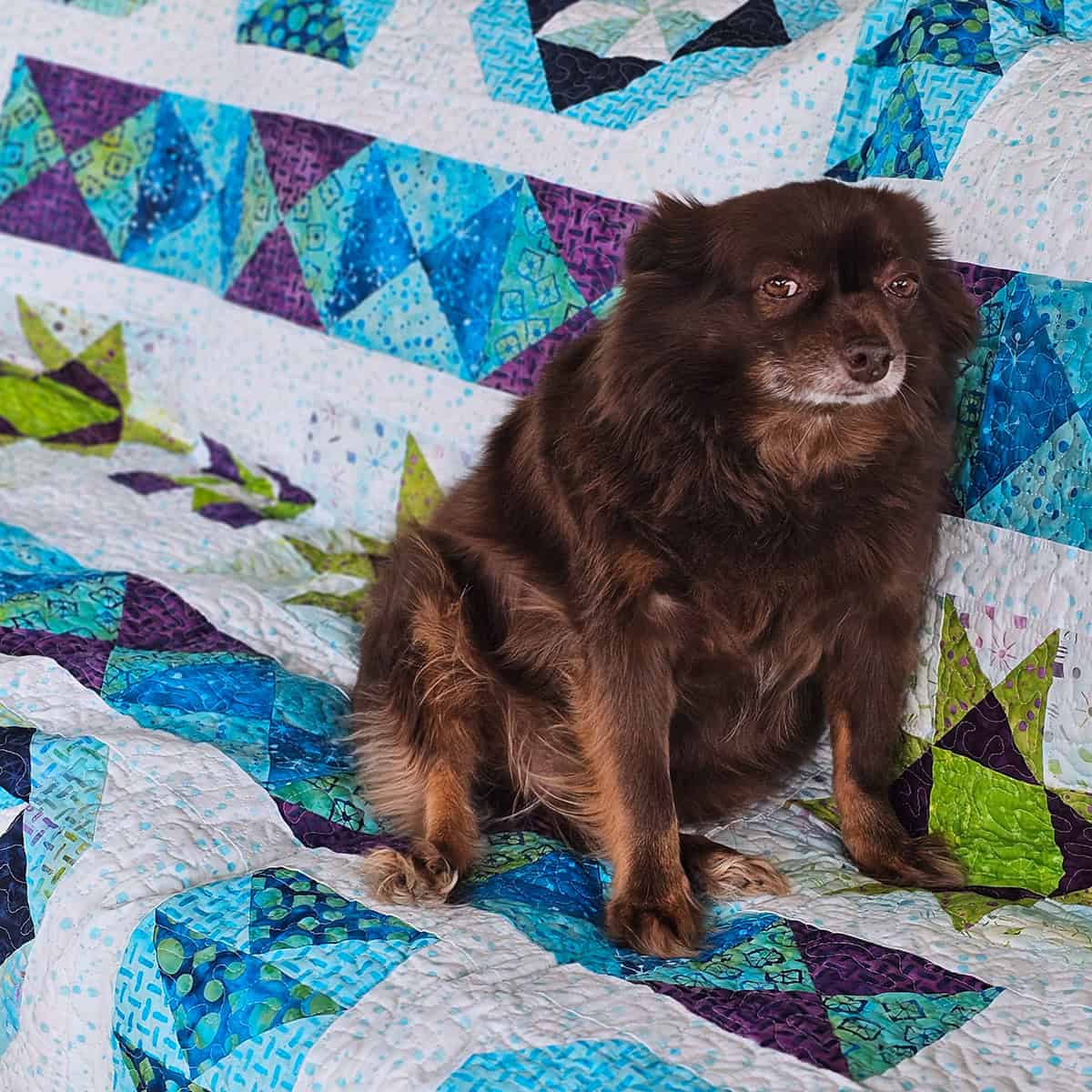 Timeless Tradition Quilt