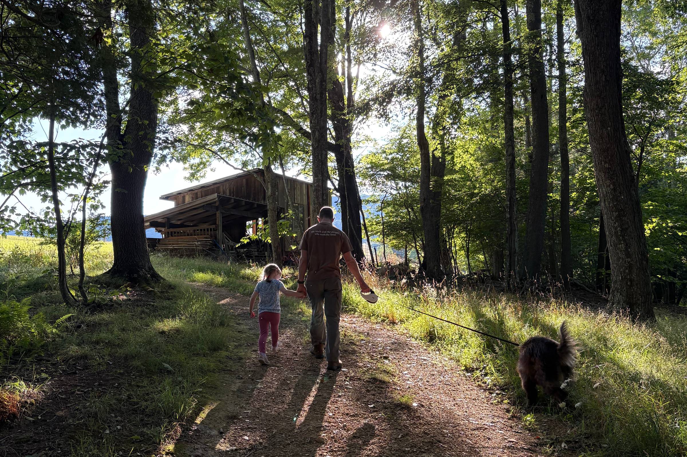 My husband and kiddo walk hand in hand up our dirt driveway through sun-dappled woods, backlit by low late-day sunlight streaming through the trees. A fuzzy black dog on a leash trails a few steps behind, sniffing the grass. A rustic wooden shed and open mountain view are visible through the trees ahead.