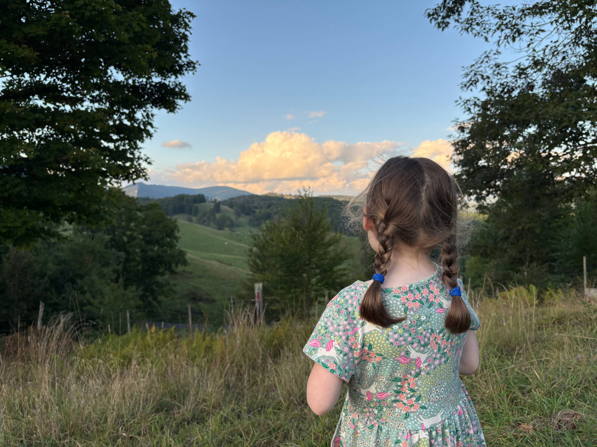 A young girl (my kiddo) seen from behind, hair in two braids tied with blue elastics, wearing a floral dress printed with unicorns. She stands in a grassy field looking out over rolling green hills and distant mountains at sunset, golden light catching the clouds above.