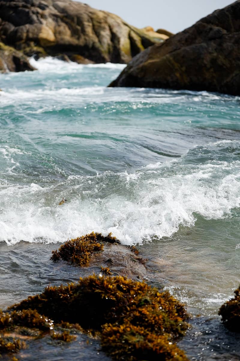 Waves crash onto rocky shores near cliffs.