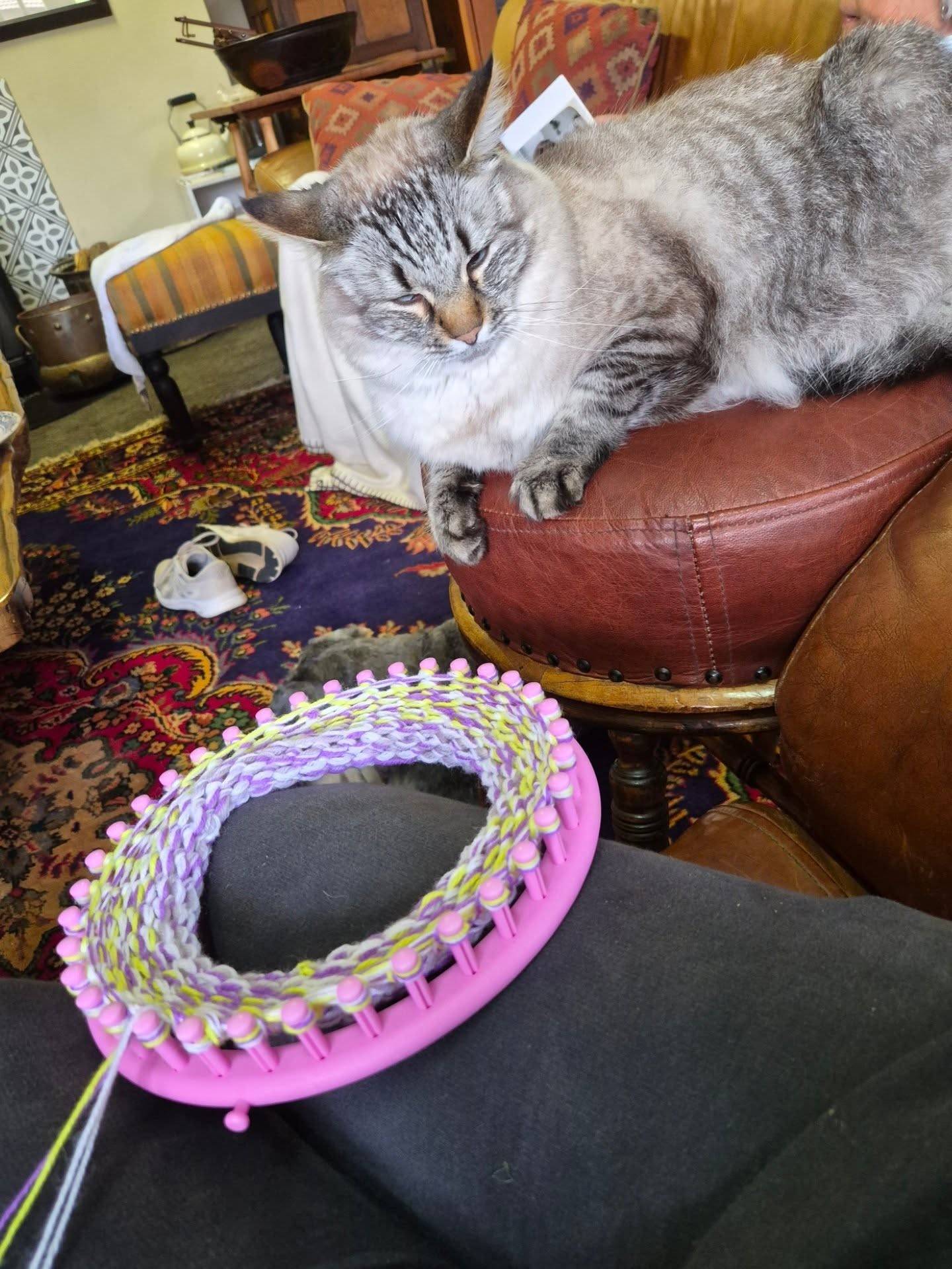 Rainy Friday spent looming beanies for the Beanie Drive 🧶

I’ll admit it — I’m a metalsmith with a workshop full of tools, not a knitter or crocheter. But I do have a loom, and I’m doing my bit.

Join the Beanie Drive for Siyakhula & Bhongolethu Schools in Masiphumelele!

ABOUT THIS INITIATIVE
Cape Town Yarn Festival is calling for beanie donations in support of the Siyakhula and Bongolethu Schools in Masiphumelele.

Children's sized beanies may be knitted or crocheted in any pattern and colour/s. There will be a drop-off point at CTYF2026 (+ a chance to win a CTYF2026 Goodie Bag for your beanie donation!)

Let’s stand together to support these schools!

Visit the Cape Town Yarn Festival
DATES: 2 + 3 May 2026
VENUE: Fish Hoek High School
TICKETS: via Quicket South Africa

@capetownyarnfest

#ctyf2026 #capetownyarnfestival #beaniedrive #yarnfestival