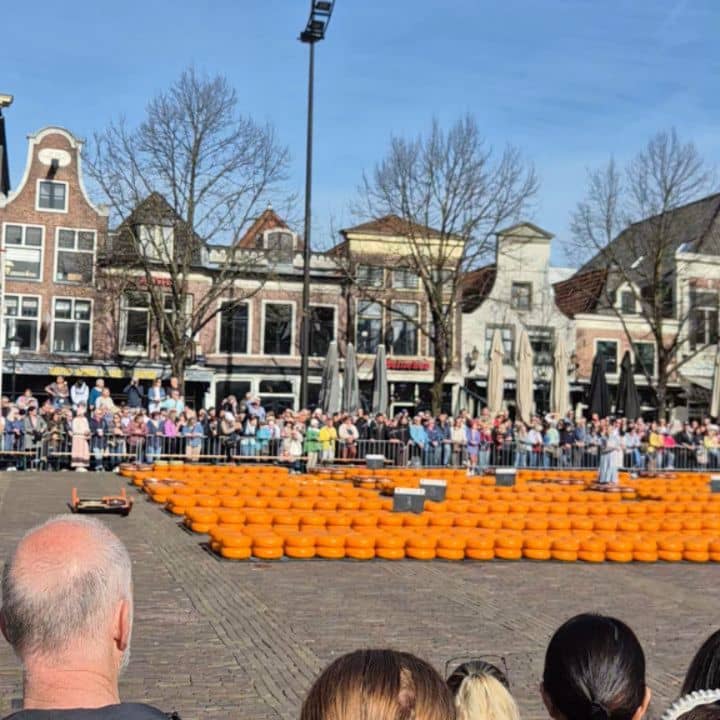 Went to Alkmaar cheese market yesterday. We were early but the 6 rows of people in front of us went earlier 😅 being short we really couldn't see anything, so we watched for a bit and left... 
On our way to the bus as a bonus we did see a bridge lift up for a boat and another one turn, I haven't seen that so Alkmaar wasn't a complete waste of time and it really is a charming village to walk around in. Off to De Haar Castle we went 😀