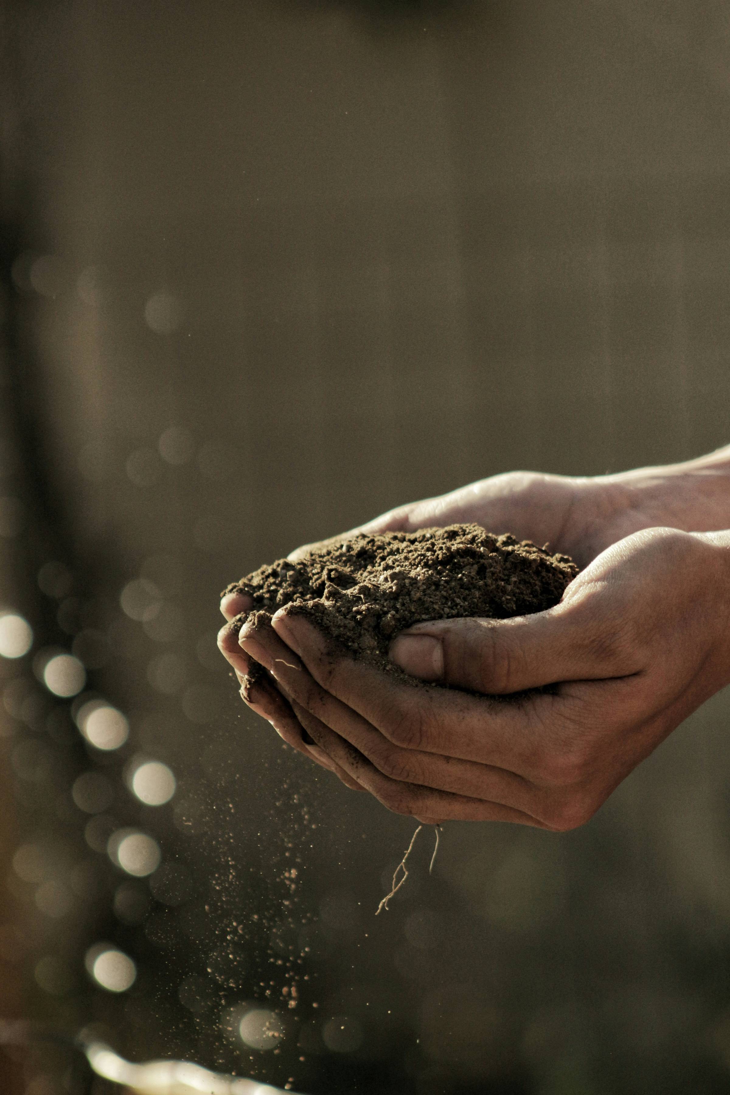 Two hands cupping a mound of rich, dark, healthy soil.
