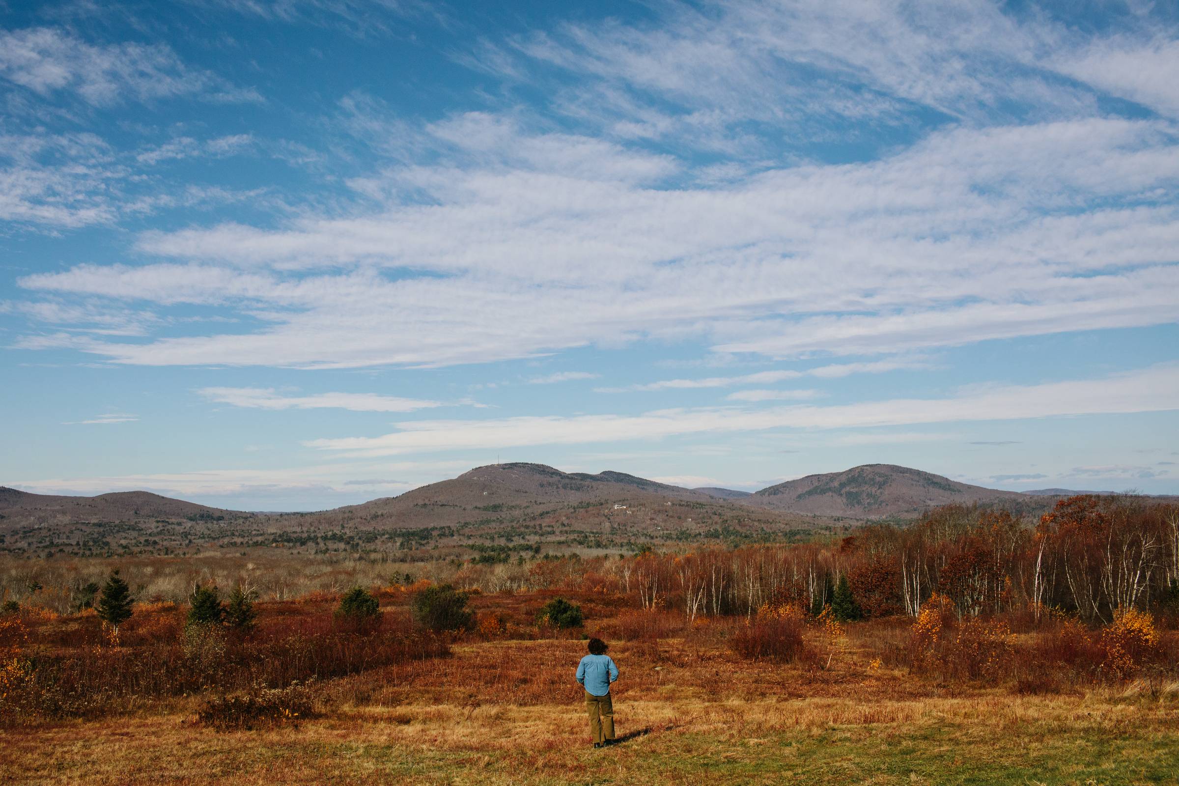 person with a blue shirt walking in a field in front of mountains in the fall
