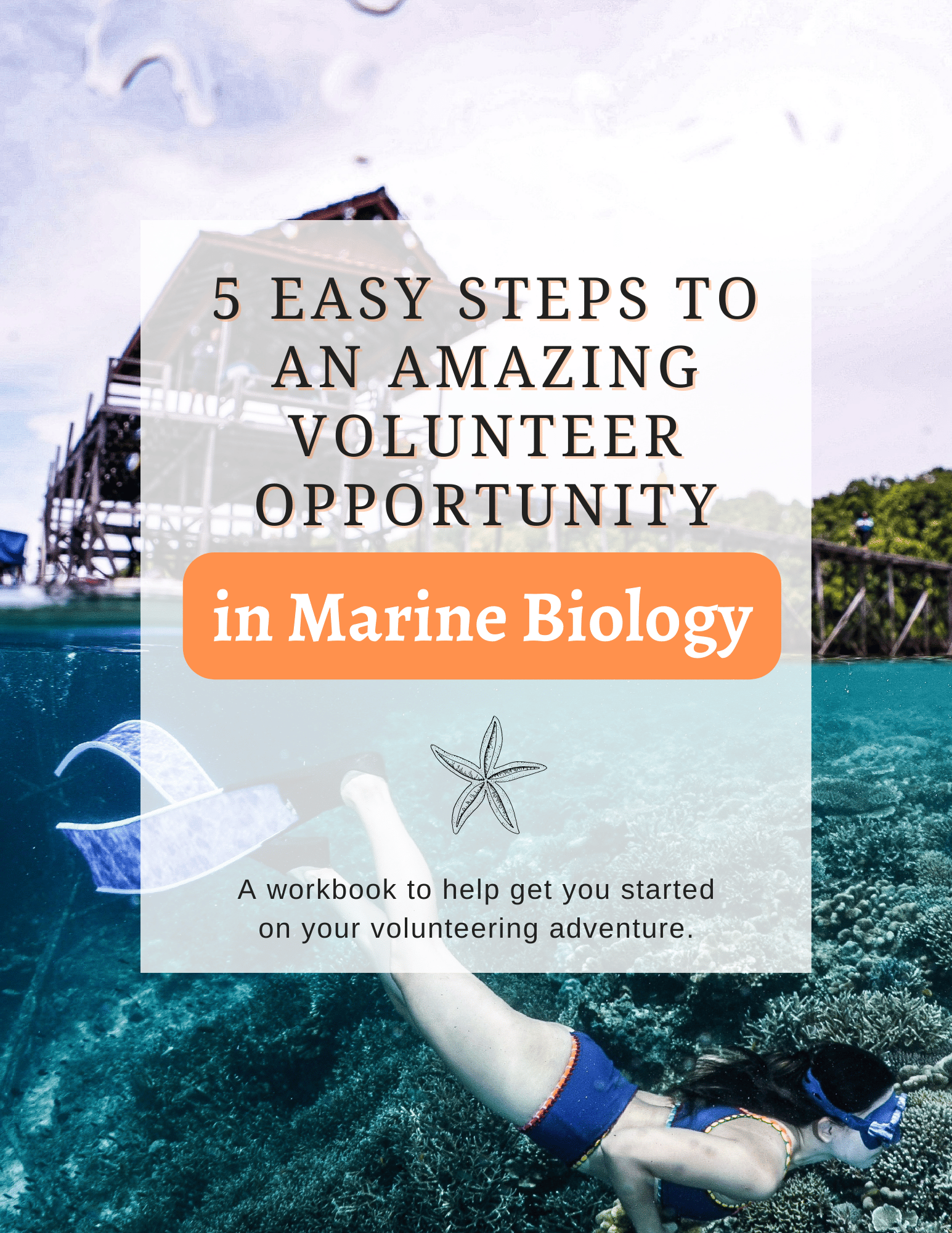 Marine Biology Guide to Volunteering, your first step into the career