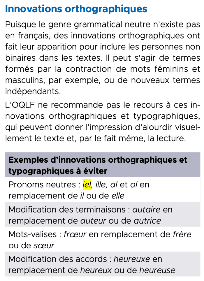 A screenshot of a table from the IRNS guide including all the new formulations and neologisms that many French nonbinary people use.