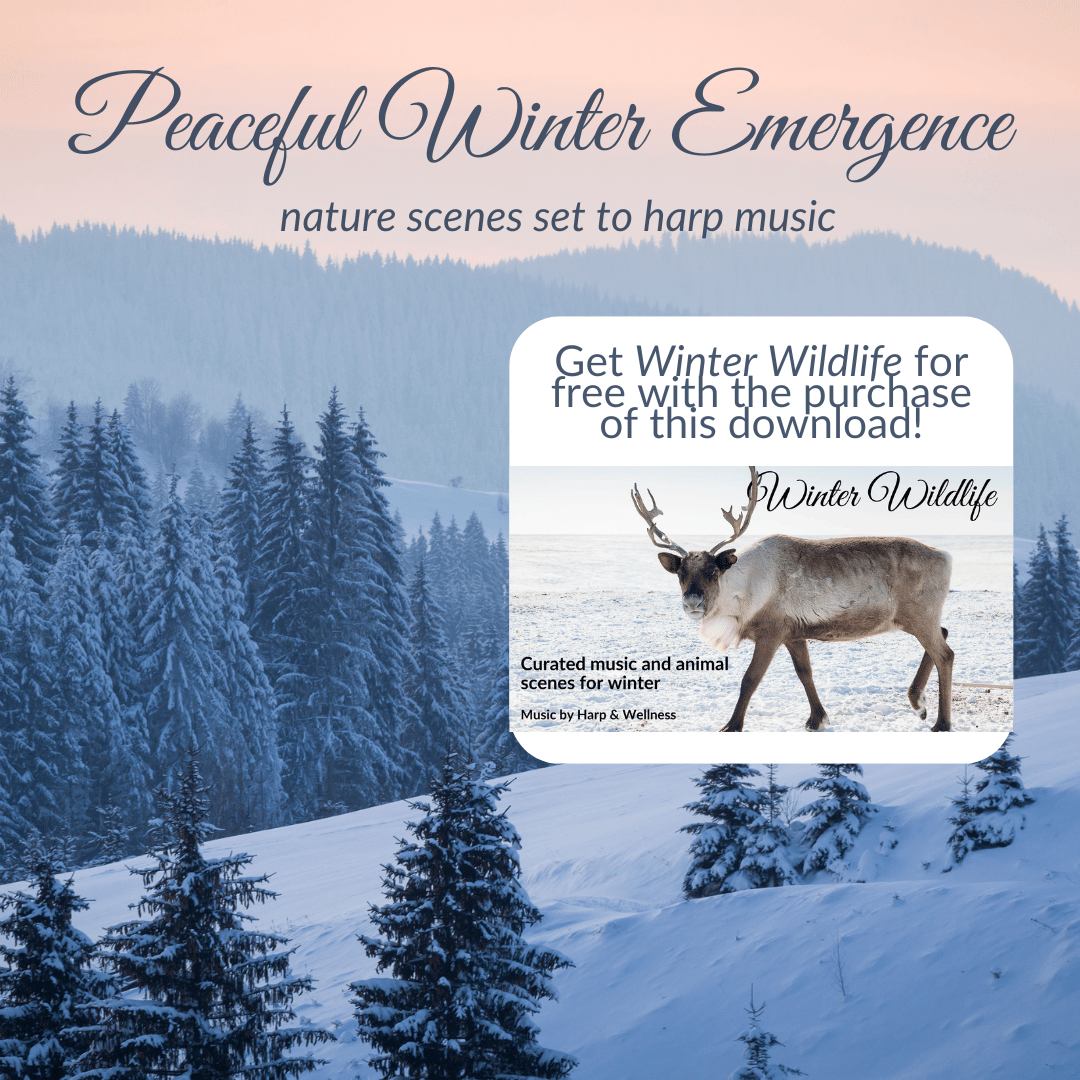 Peaceful Winter Emergence Video
