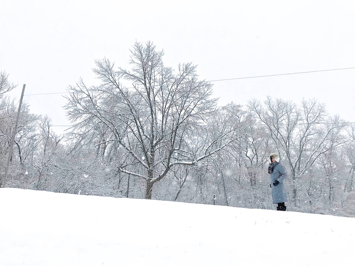 A white snowy scene with a woman watching the snow coming down in soft snow flakes