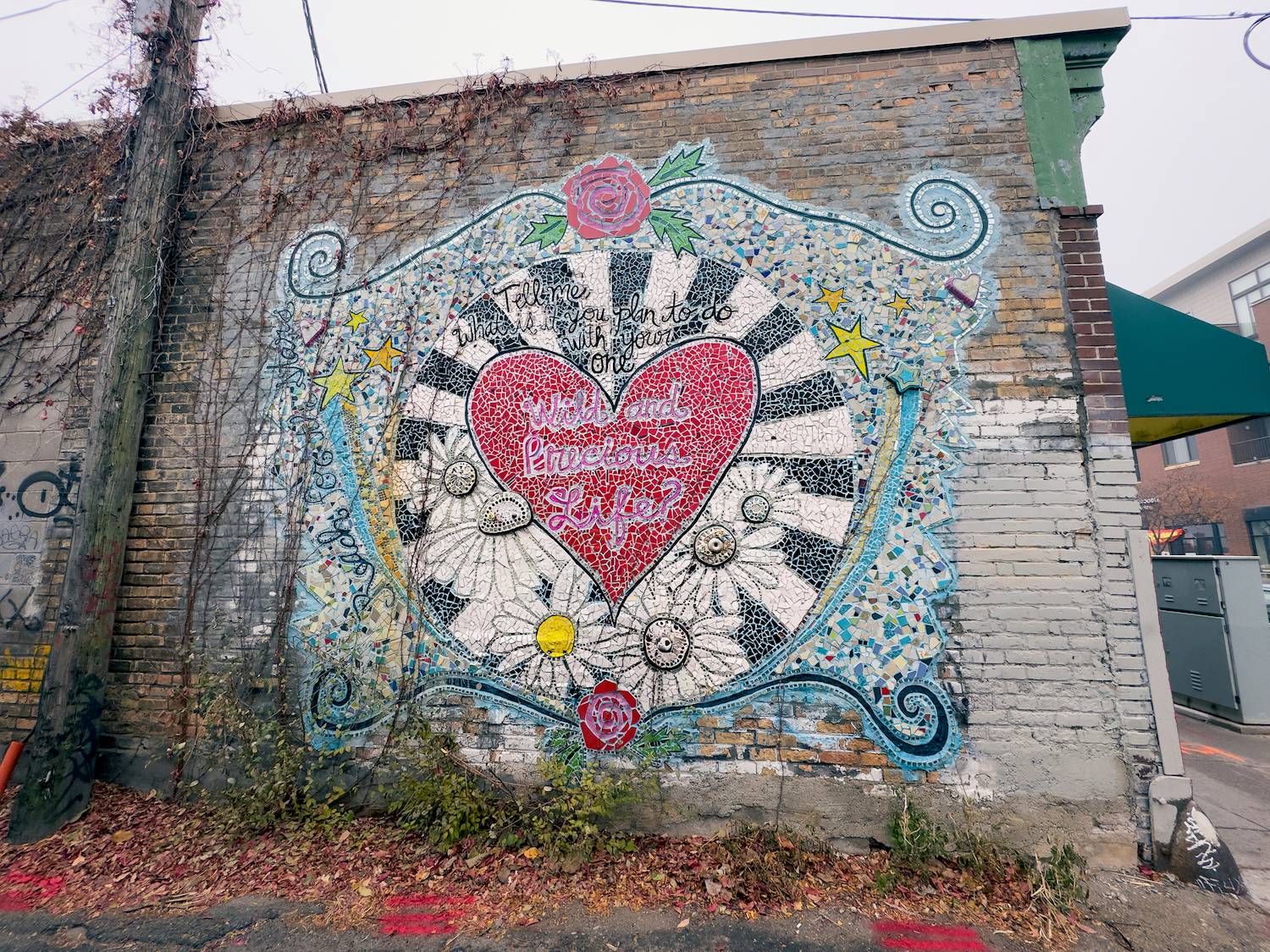 Bright colorful mosaic on an alley on a grey day with the quote "Tell me, What is it you plan to do with you one Wild and Precious Life?"