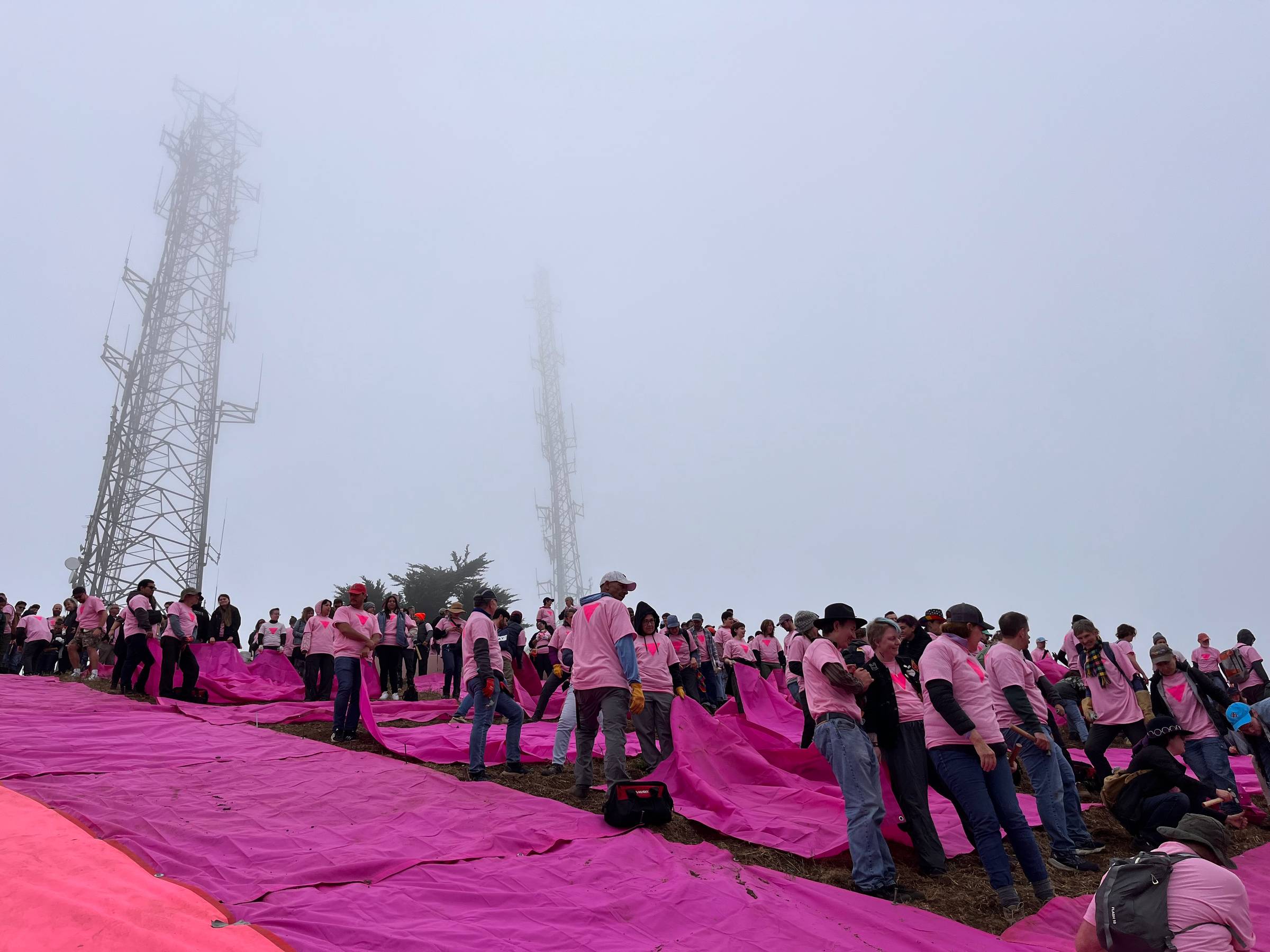 A photo of hundreds of volunteers working together to install bright pink tarps to form the a giant pink triangle on the hillside of Twin Peaks in San Francisco