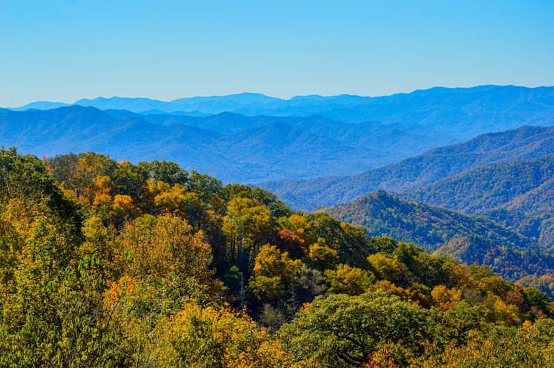 Autumn trees on rolling blue mountains under clear sky