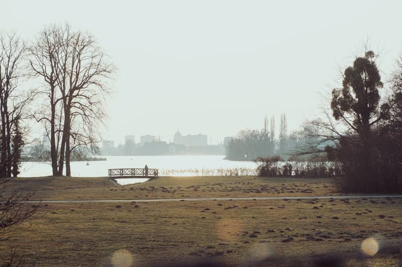 A field with trees and a bench in the distance