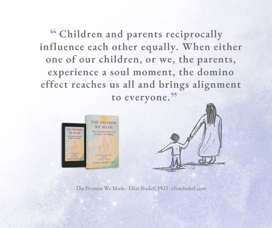 Soul Moments - The Promise We Made Book